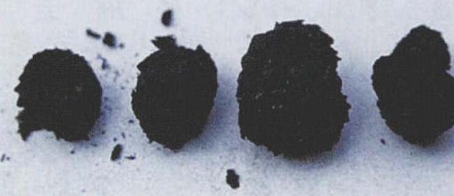 菊花(附:野菊花)